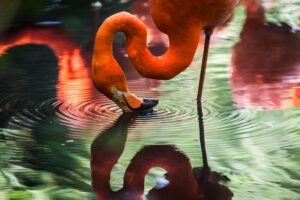 Photo by Gaetano Cessati on Unsplash