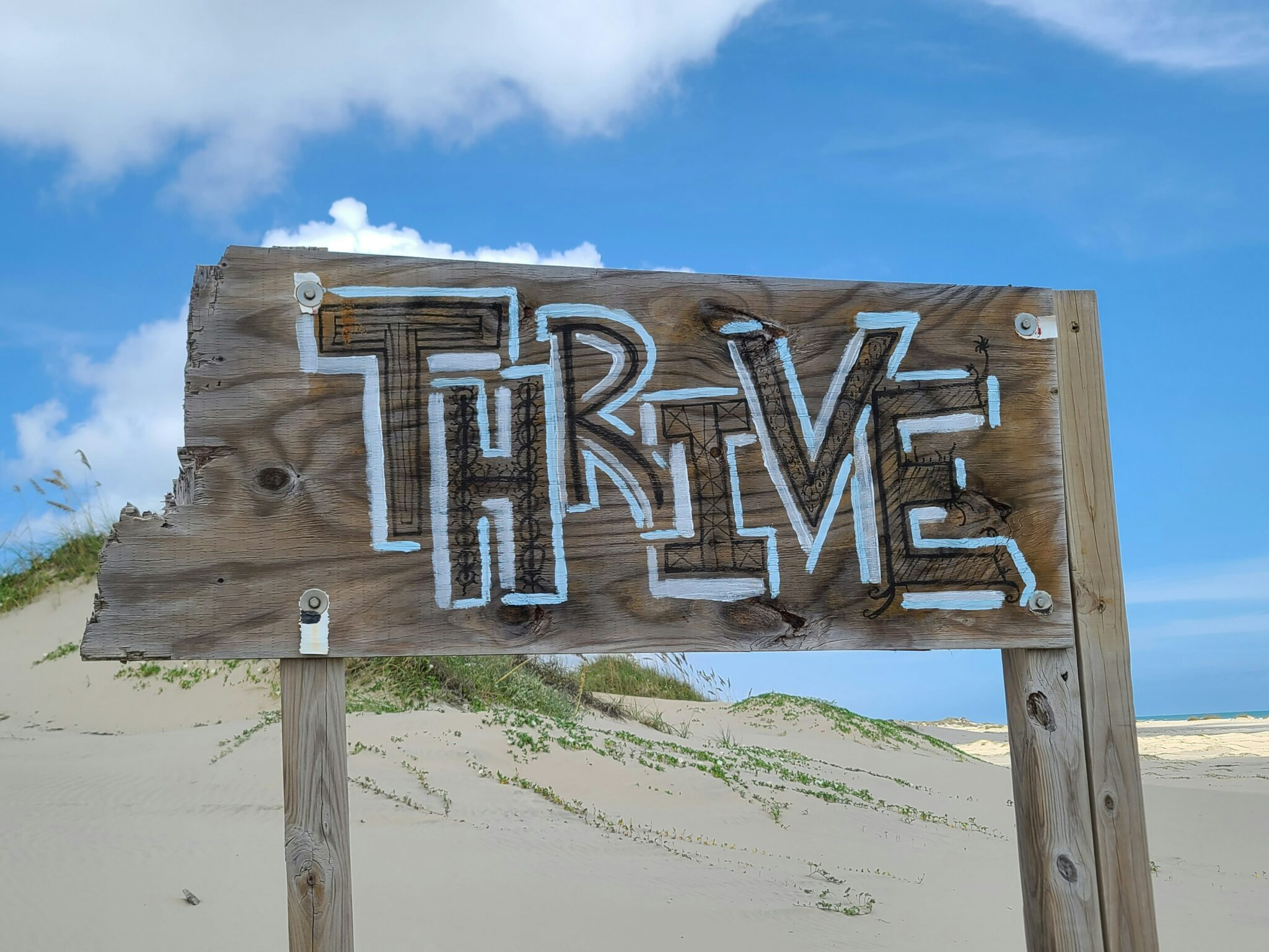 Building Resilience in Times of Adversity: Strategies for Overcoming ...